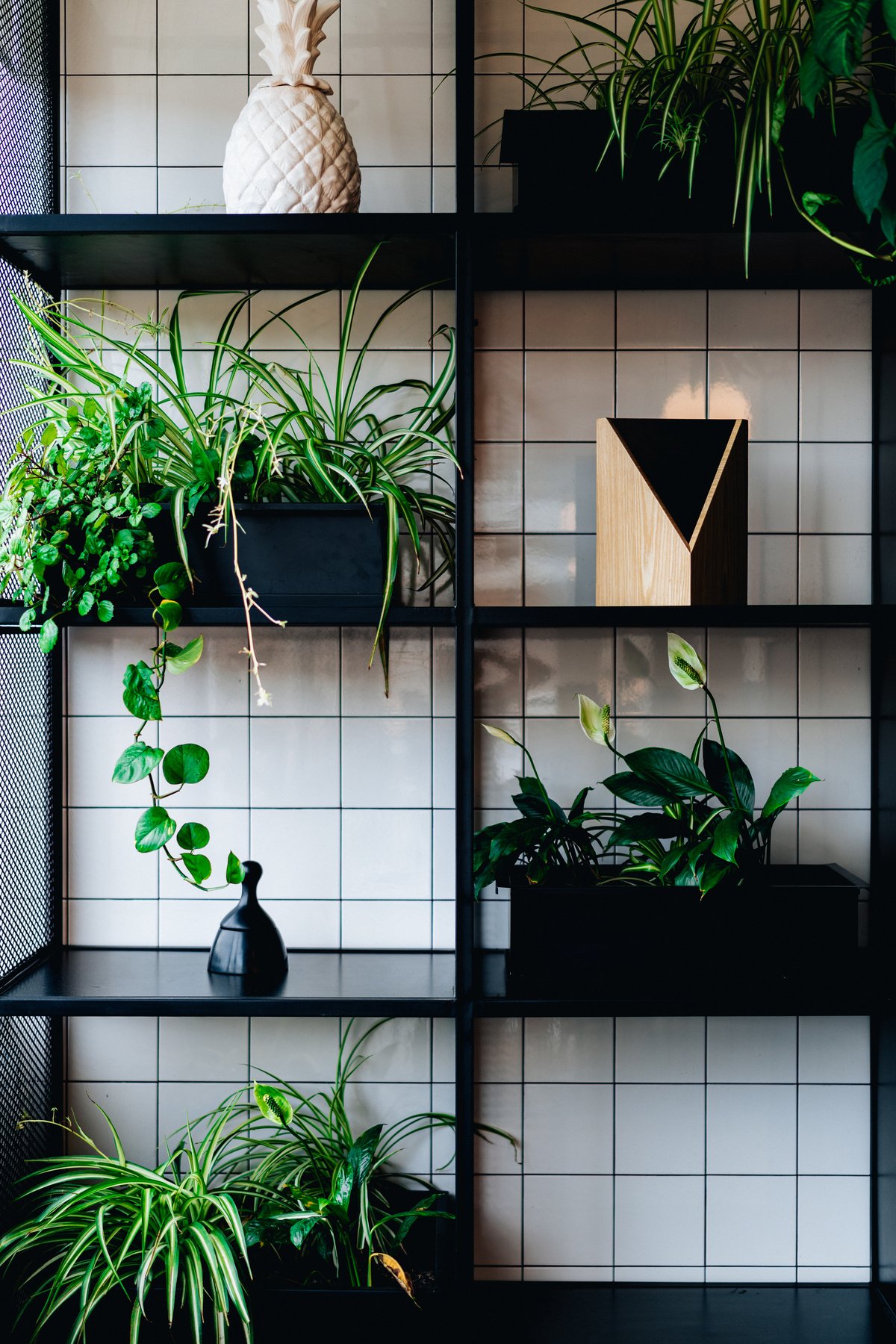 Black Wooden Shelves