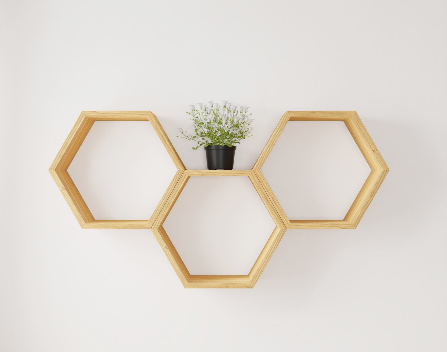 Wooden Hexagon Shelving on the Wall